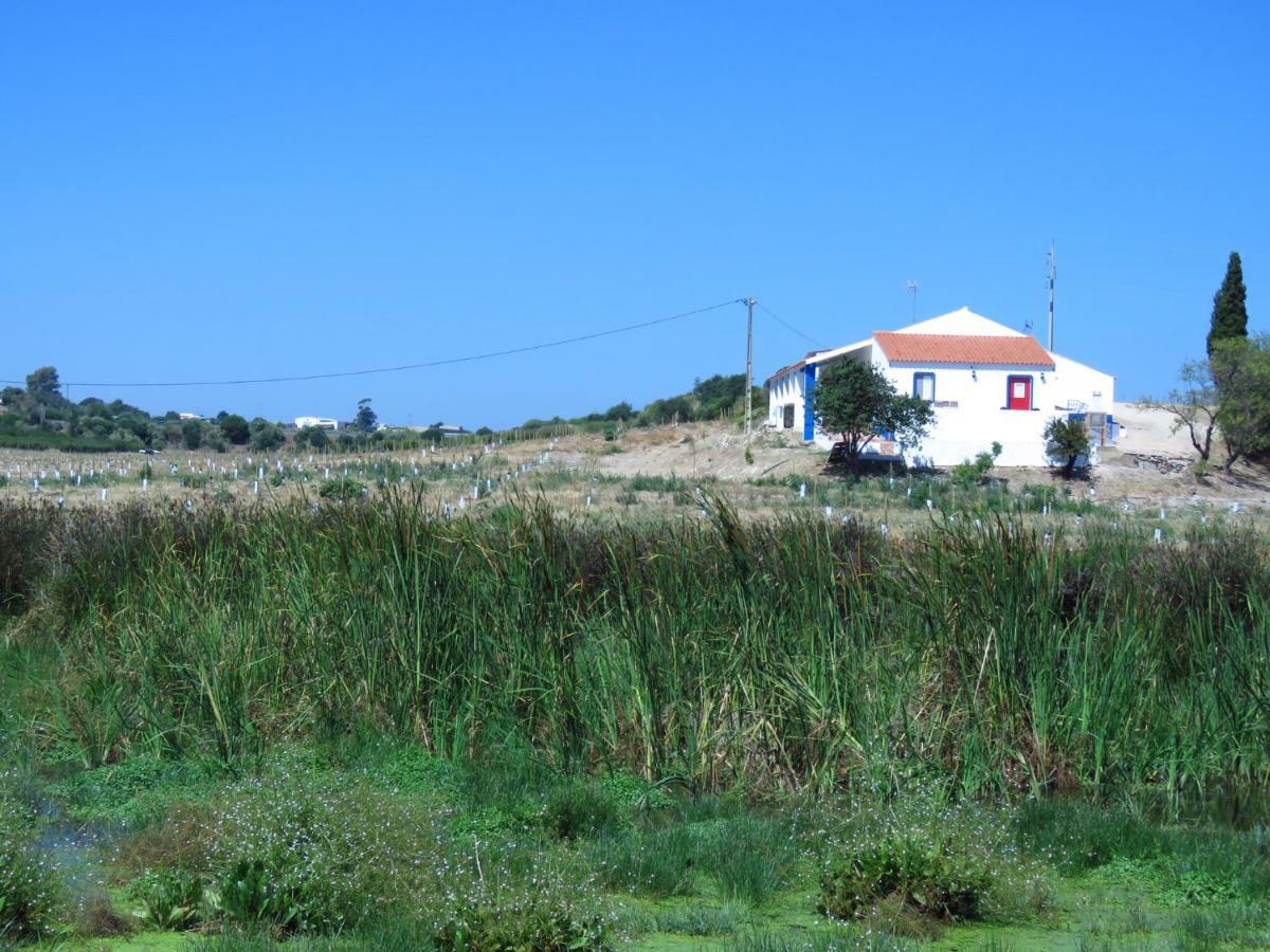 Вилла Vale Do Boto-Quinta Com 3 Casas Каштру-Марин Экстерьер фото