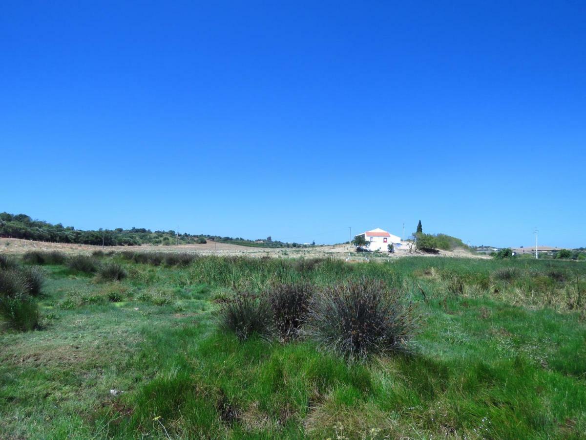 Вилла Vale Do Boto-Quinta Com 3 Casas Каштру-Марин Экстерьер фото